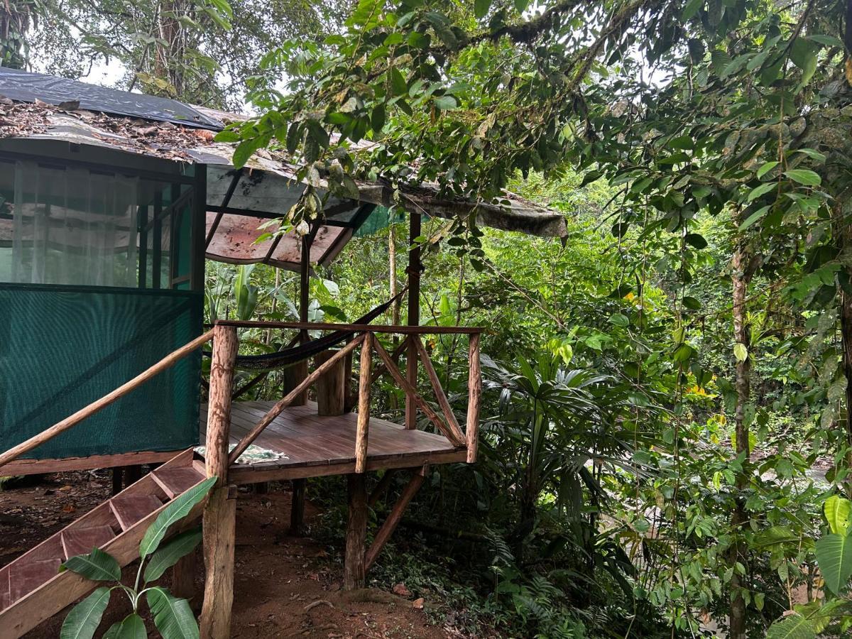 Rio Agujitas Eco Farm Hostel And Tours Drake Bay Bagian luar foto