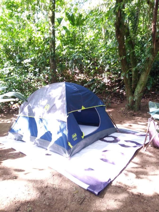 Rio Agujitas Eco Farm Hostel And Tours Drake Bay Bagian luar foto