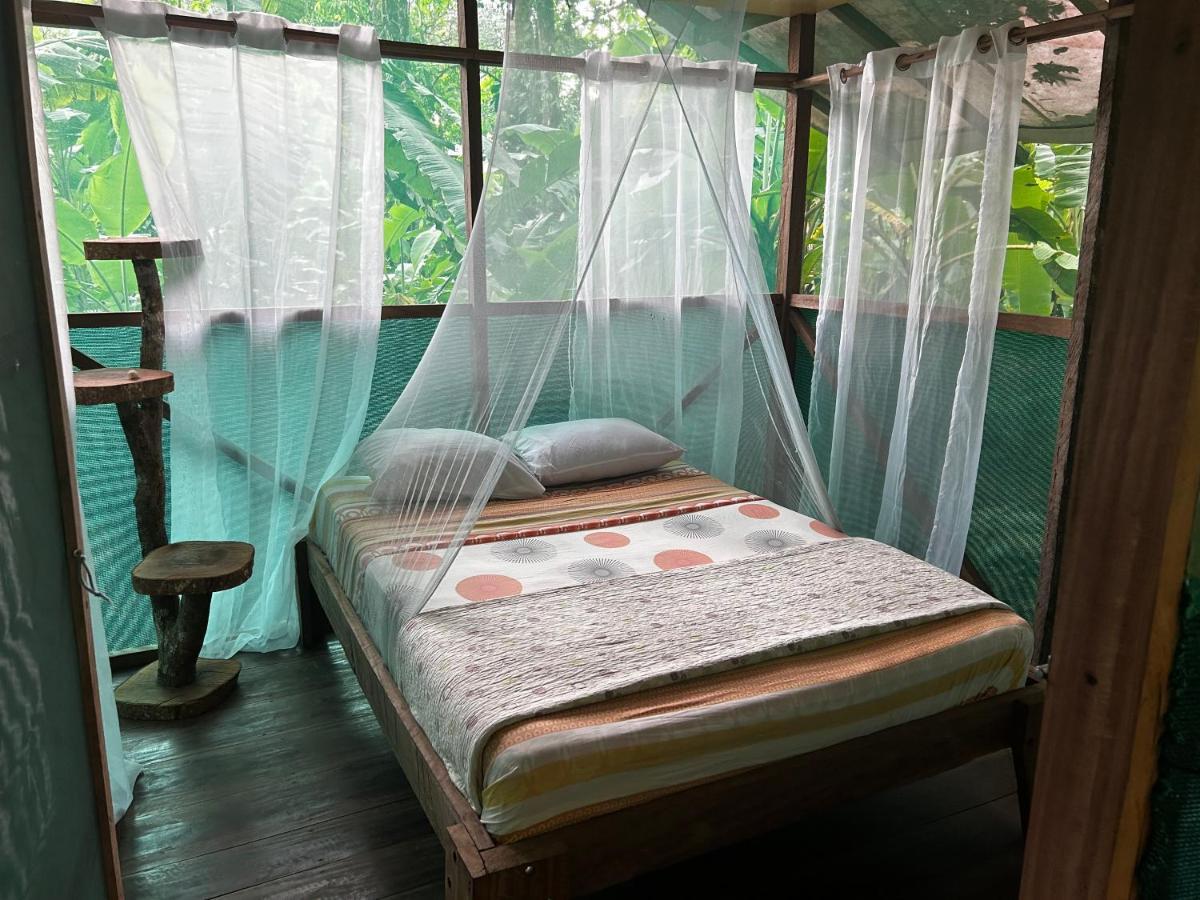Rio Agujitas Eco Farm Hostel And Tours Drake Bay Bagian luar foto