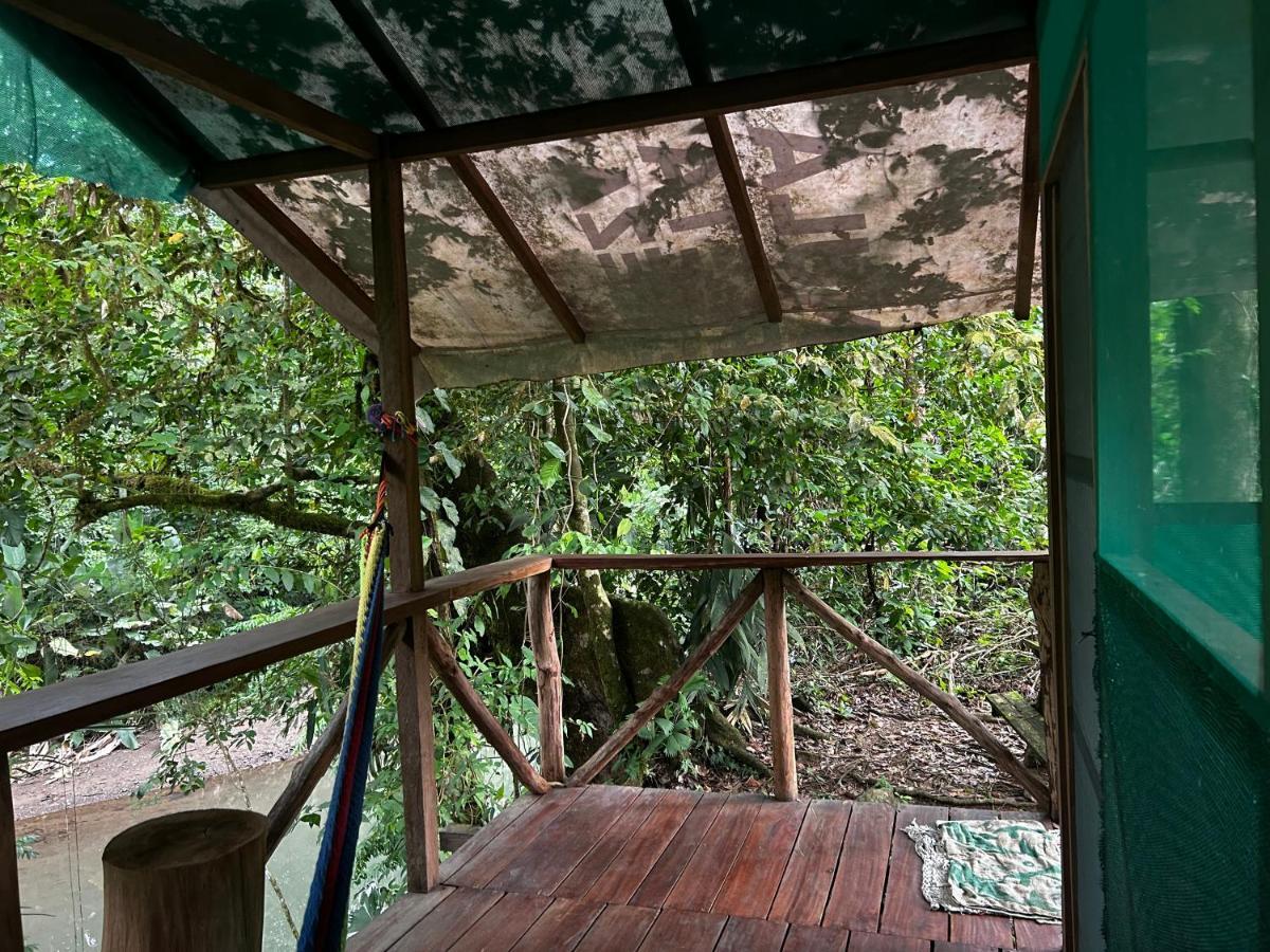 Rio Agujitas Eco Farm Hostel And Tours Drake Bay Bagian luar foto