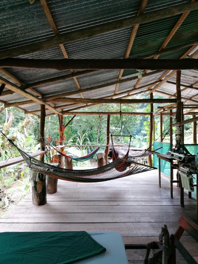Rio Agujitas Eco Farm Hostel And Tours Drake Bay Bagian luar foto