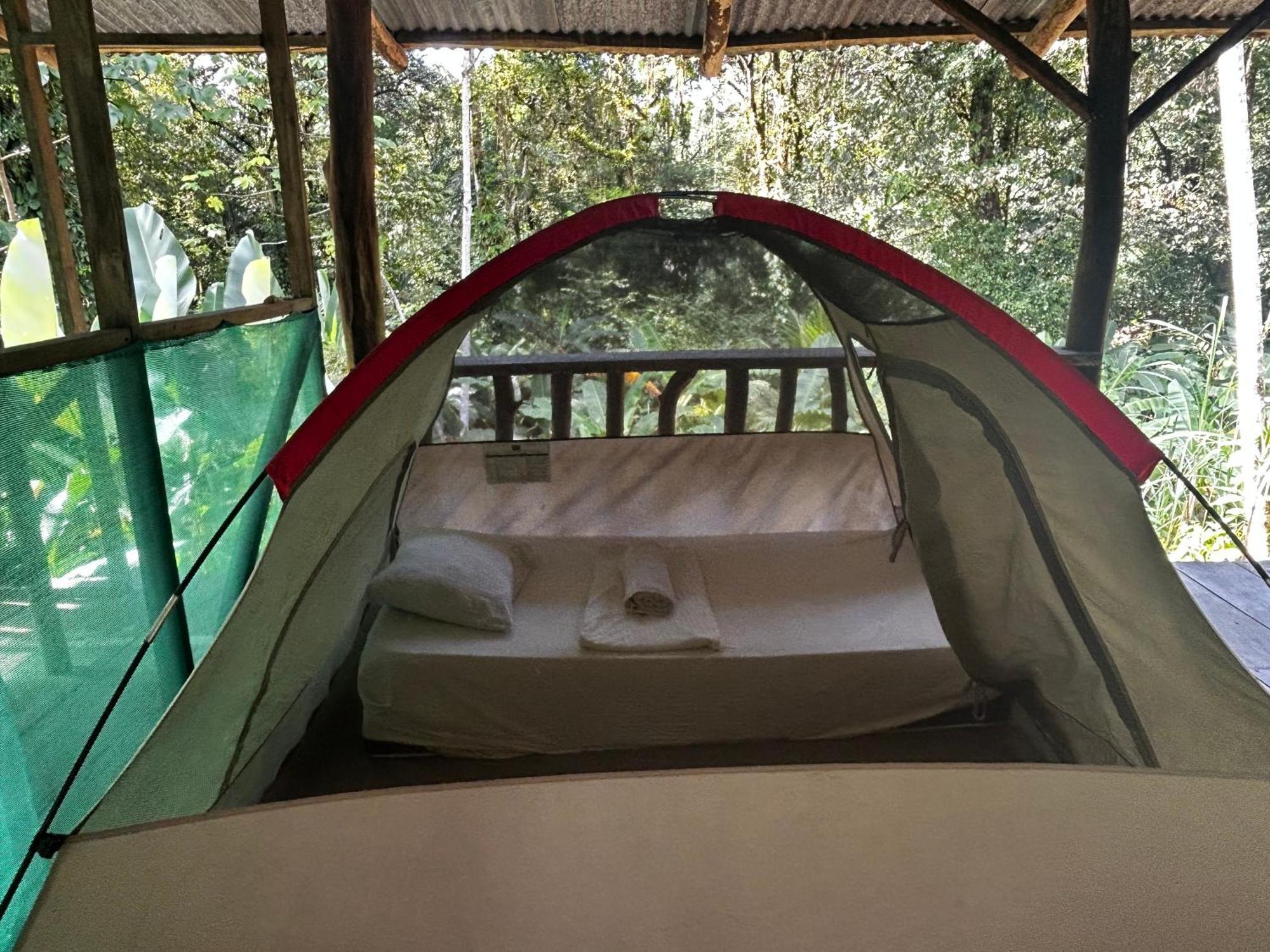 Rio Agujitas Eco Farm Hostel And Tours Drake Bay Bagian luar foto