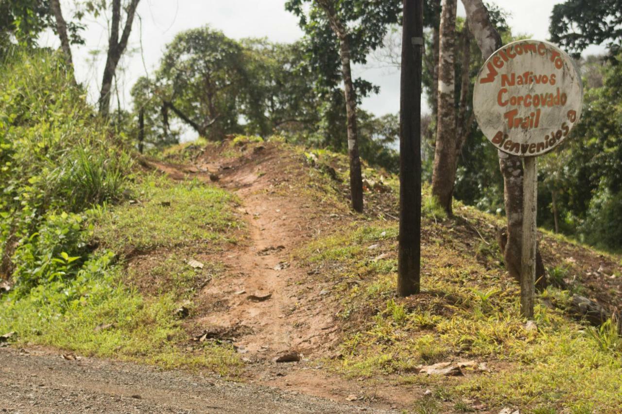 Rio Agujitas Eco Farm Hostel And Tours Drake Bay Bagian luar foto