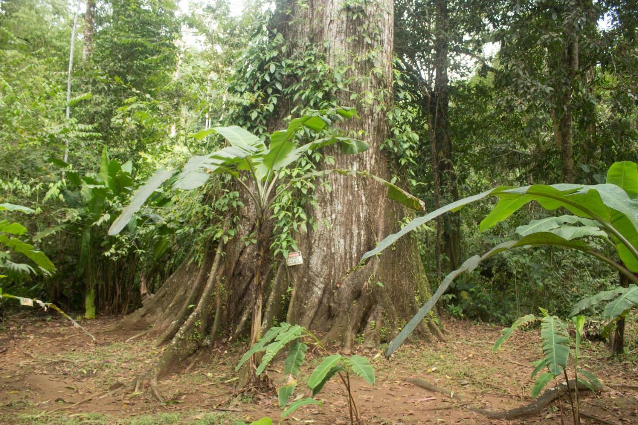 Rio Agujitas Eco Farm Hostel And Tours Drake Bay Bagian luar foto