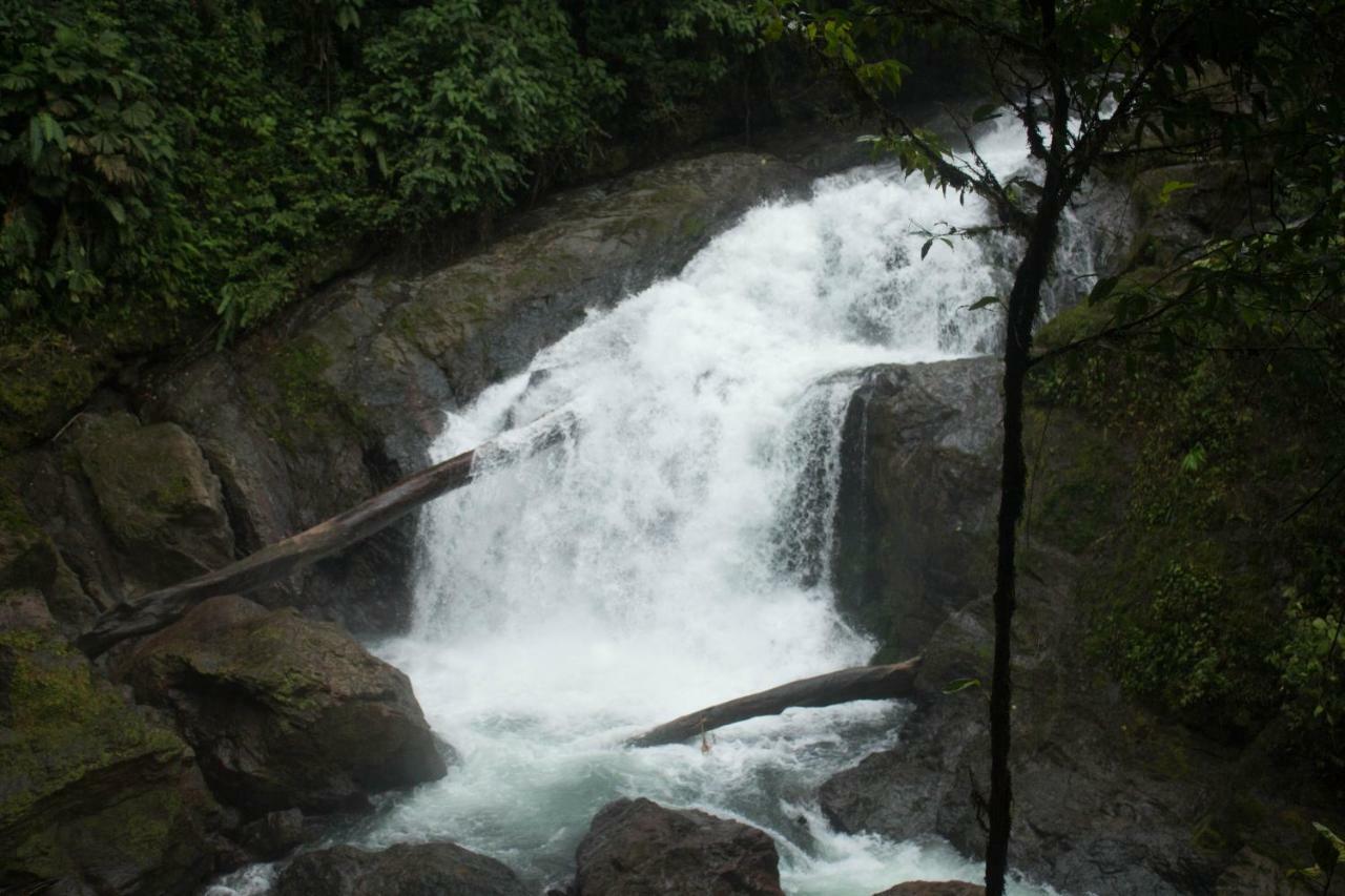 Rio Agujitas Eco Farm Hostel And Tours Drake Bay Bagian luar foto