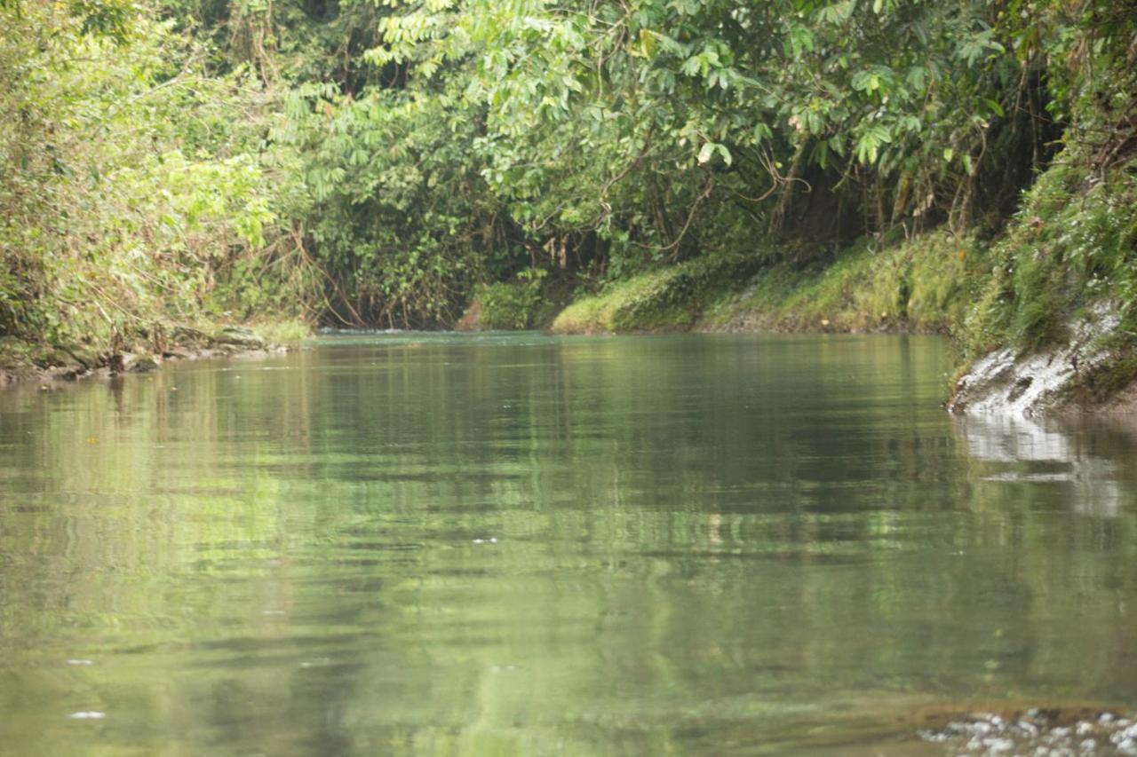 Rio Agujitas Eco Farm Hostel And Tours Drake Bay Bagian luar foto